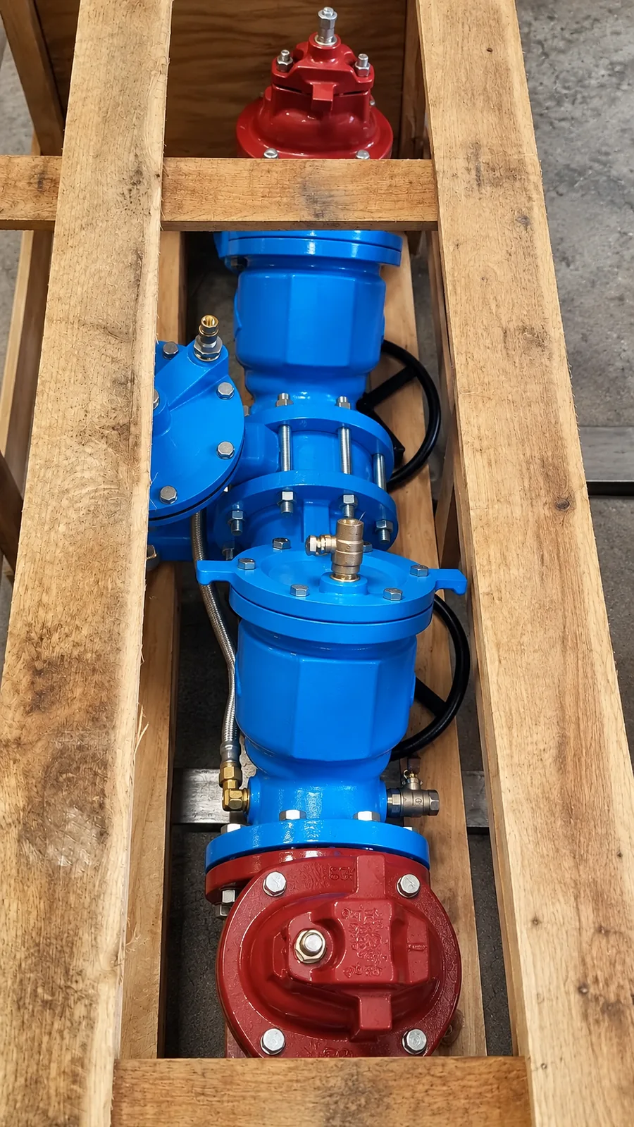 Custom commercial backflow prevention assembly